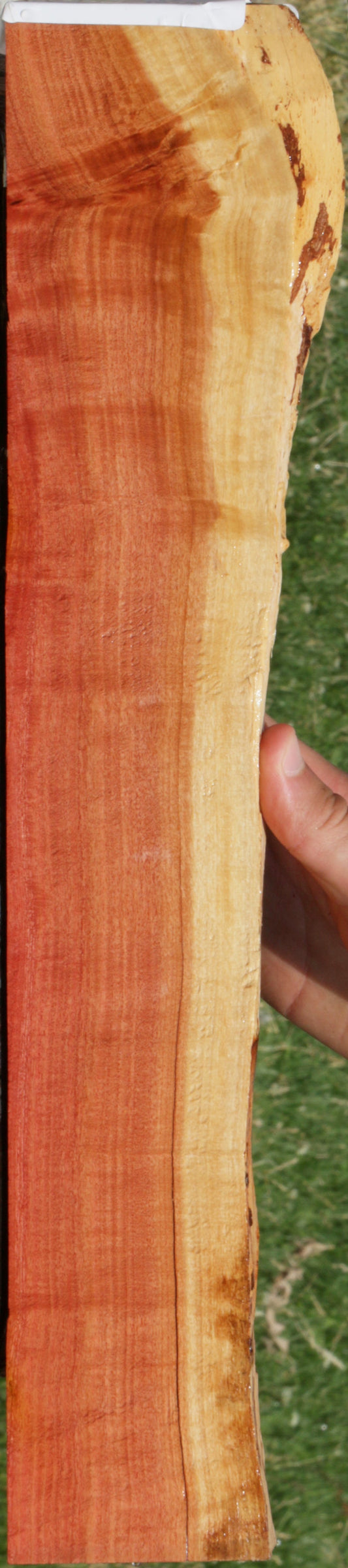 Extra Fancy Pink Ivory Live Edge Micro Lumber