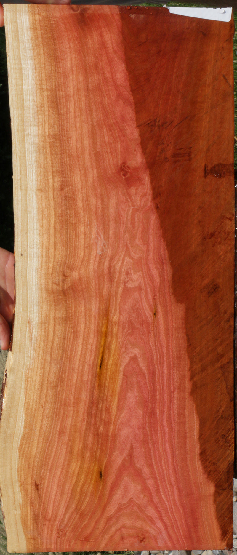 Extra Fancy Pink Ivory Live Edge Micro Lumber