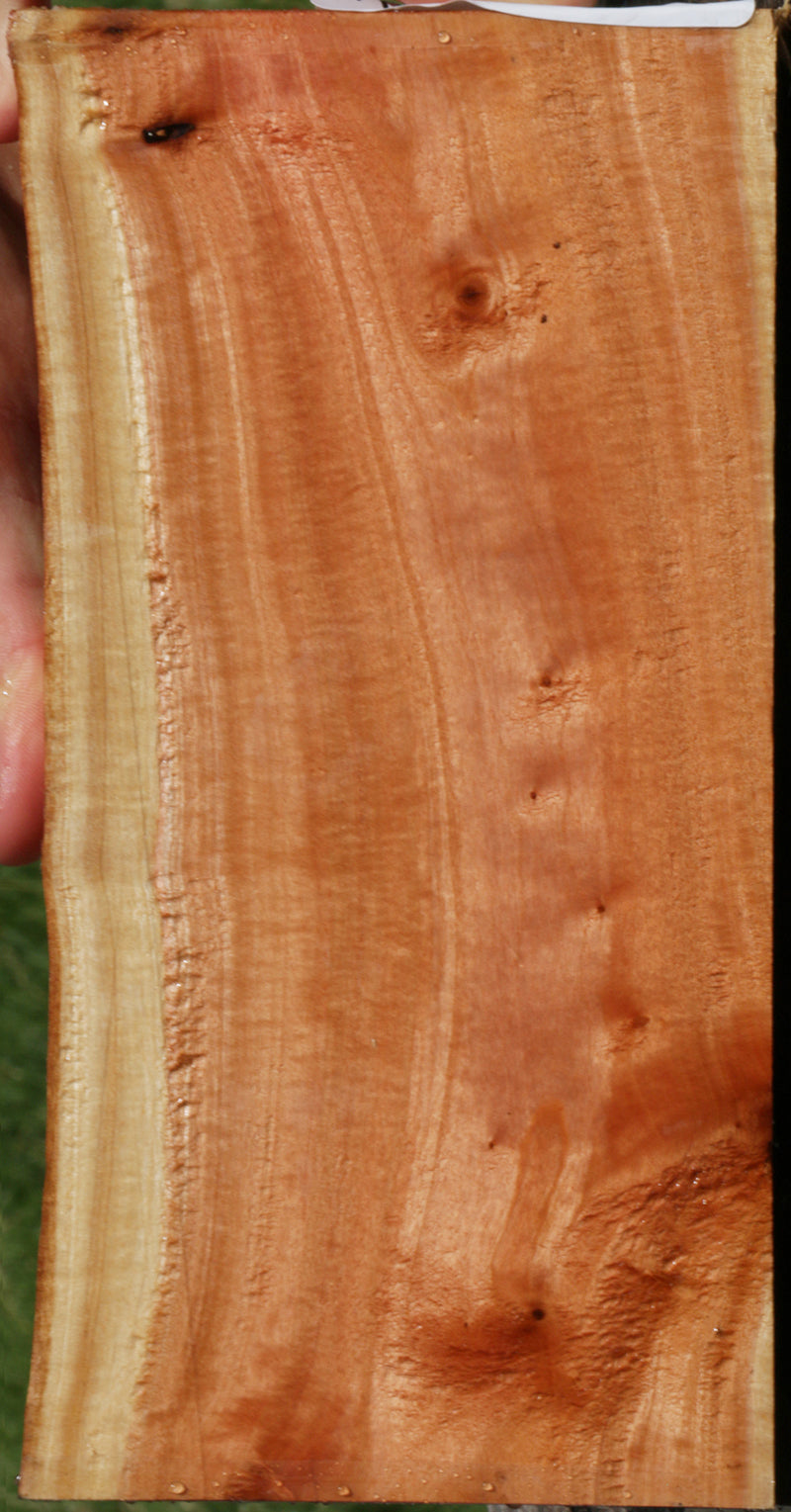 Extra Fancy Pink Ivory Live Edge Lumber