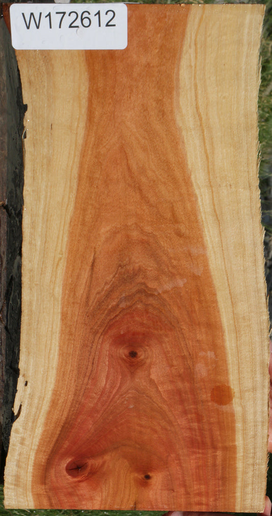 Pink Ivory Live Edge Lumber