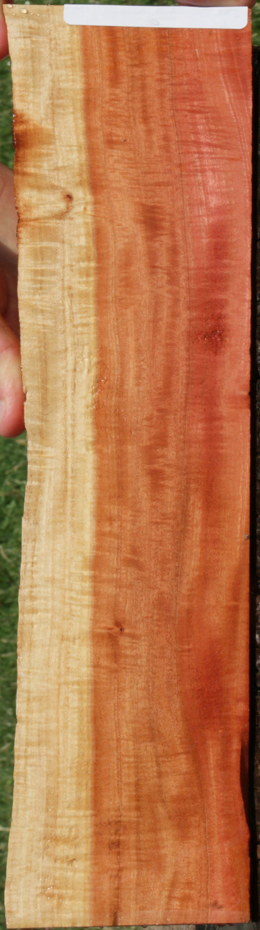 Exhibition Pink Ivory Live Edge Micro Lumber