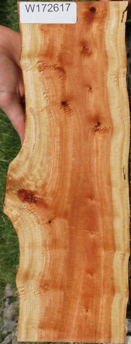 Pink Ivory Live Edge Lumber