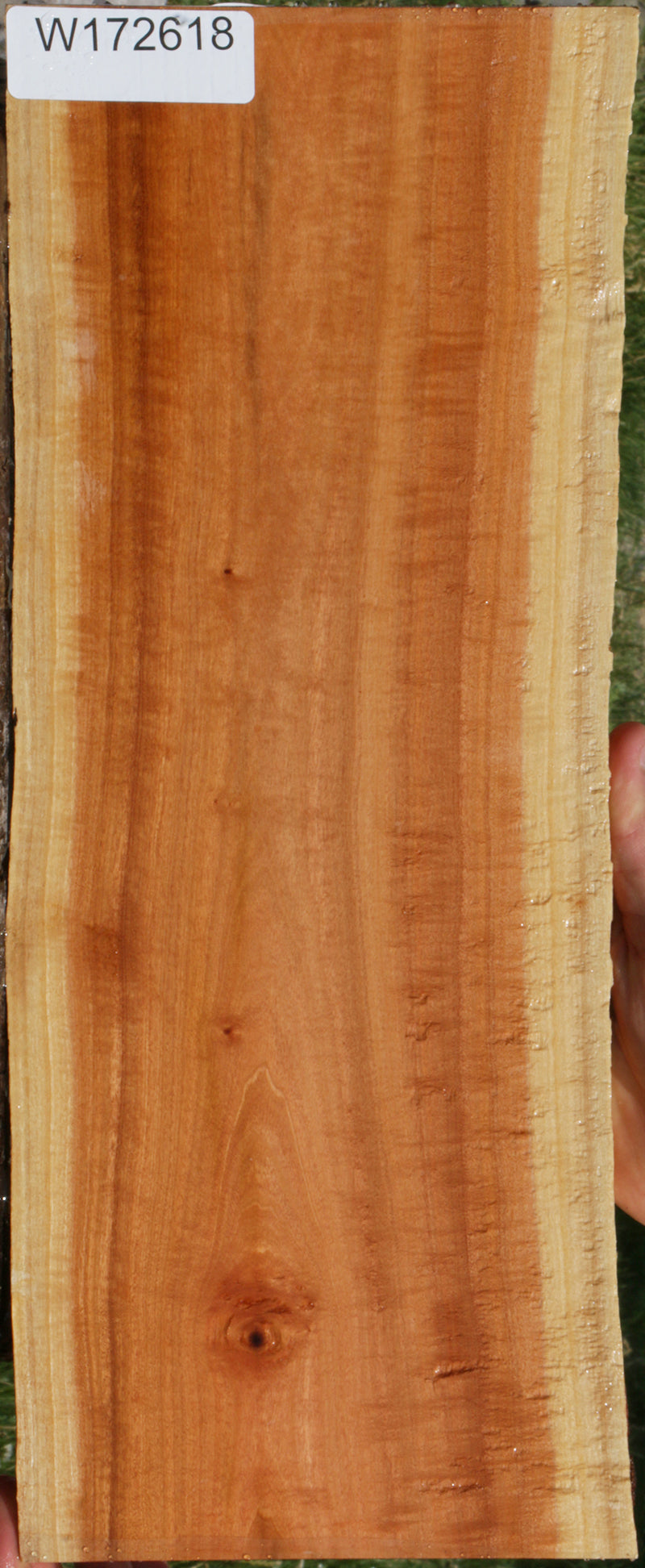 Exhibition Pink Ivory Live Edge Lumber