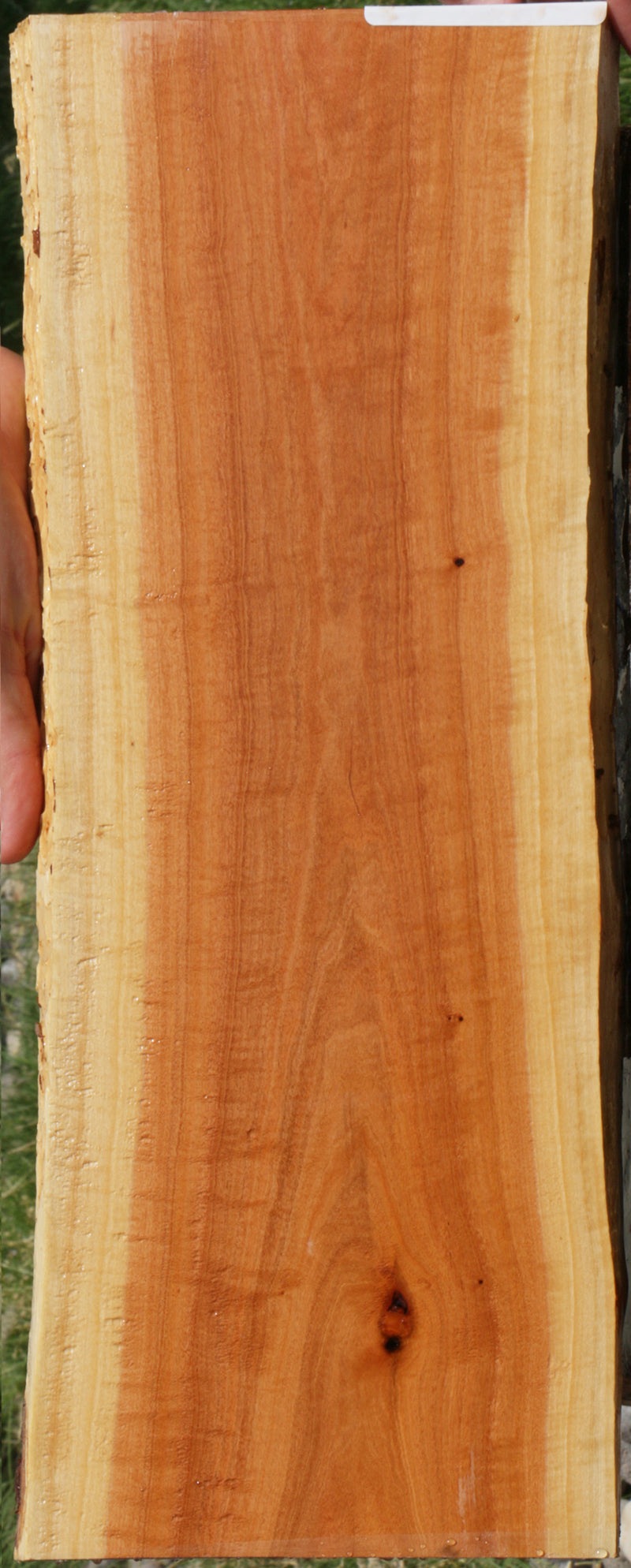 Exhibition Pink Ivory Live Edge Lumber