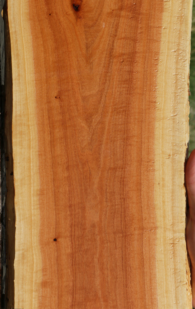 Exhibition Pink Ivory Live Edge Lumber