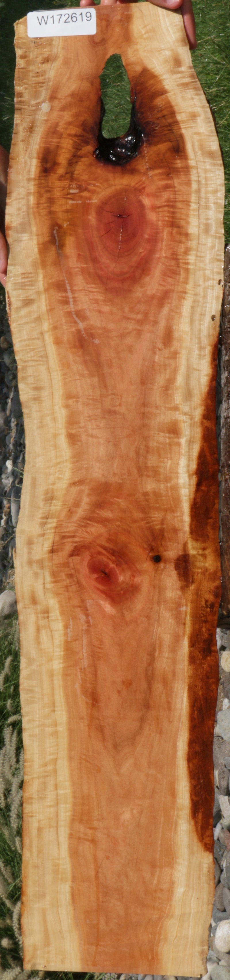 Rustic Pink Ivory Live Edge Lumber