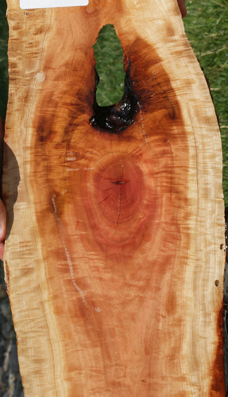 Rustic Pink Ivory Live Edge Lumber