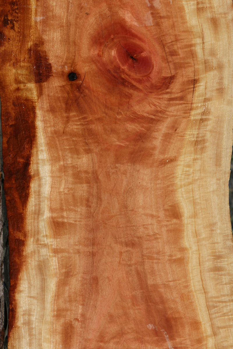 Rustic Pink Ivory Live Edge Lumber