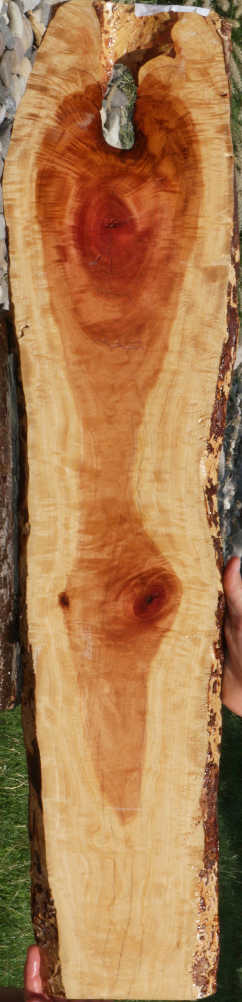 Rustic Pink Ivory Live Edge Lumber