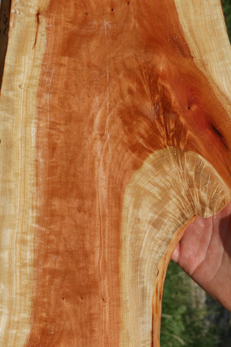 Extra Fancy Crotchwood Pink Ivory Live Edge Lumber