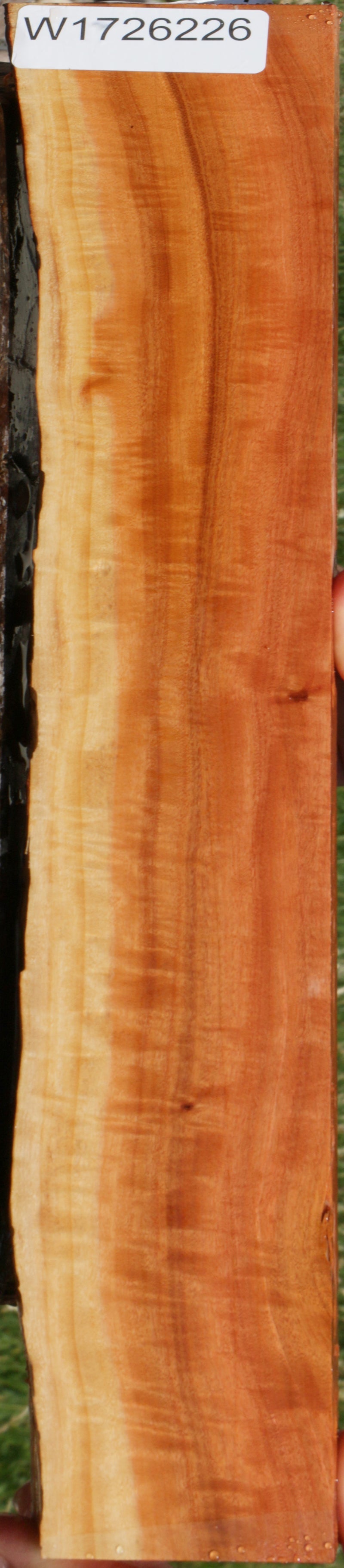 Extra Fancy Pink Ivory Live Edge Lumber