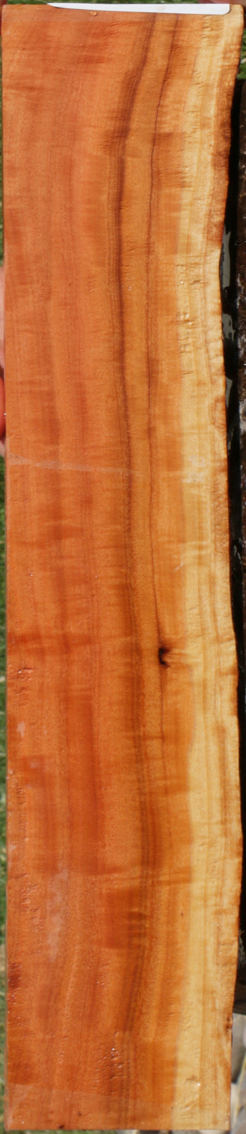 Extra Fancy Pink Ivory Live Edge Lumber