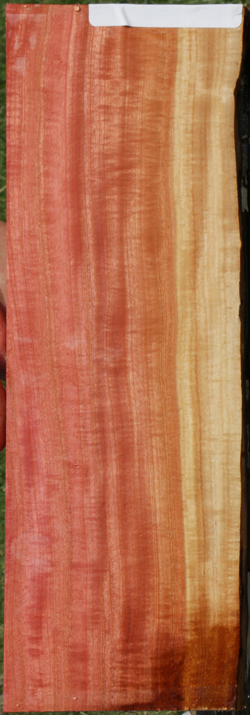 Exhibition Pink Ivory Live Edge Micro Lumber