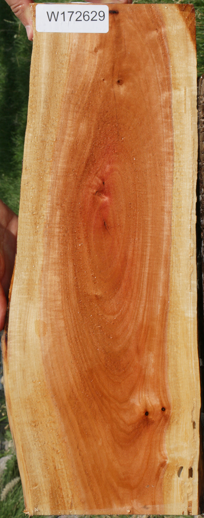 Extra Fancy Pink Ivory Live Edge Lumber