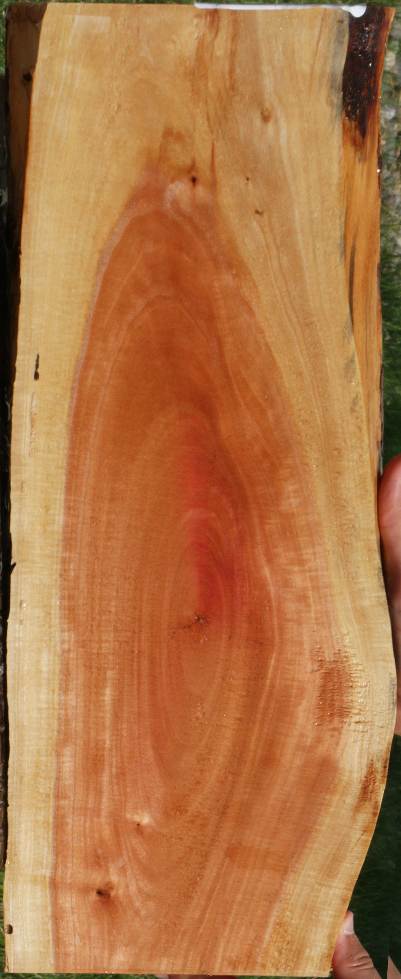 Extra Fancy Pink Ivory Live Edge Lumber