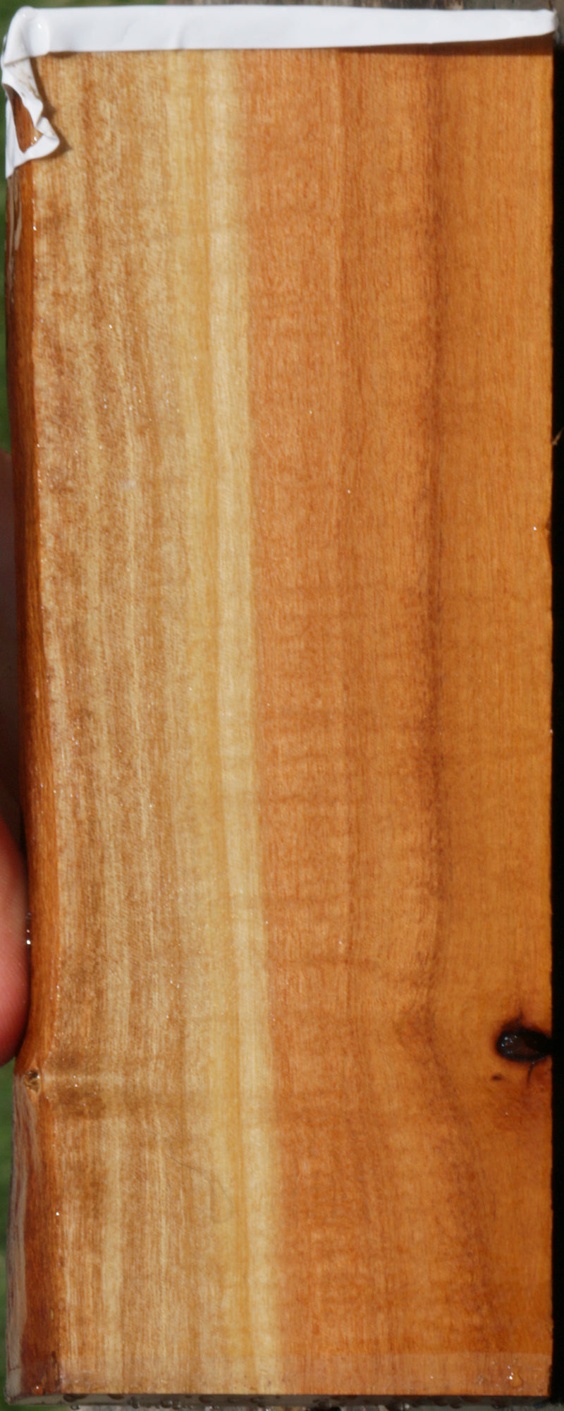 Curly Pink Ivory Live Edge Lumber