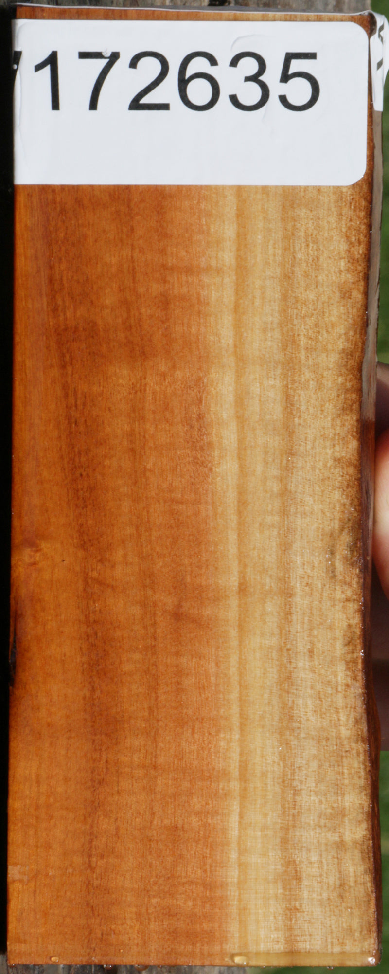 Curly Pink Ivory Live Edge Lumber