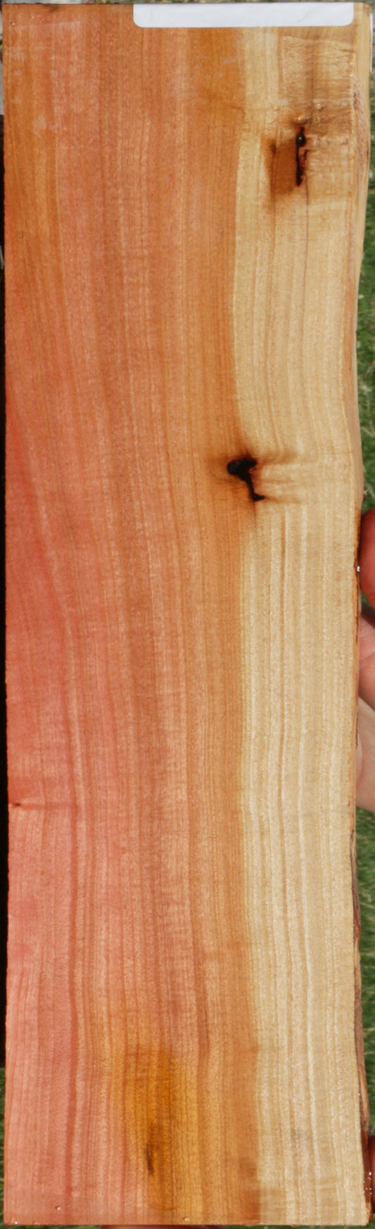Extra Fancy Pink Ivory Live Edge Lumber