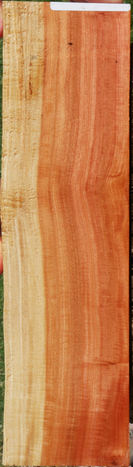 Extra Fancy Pink Ivory Live Edge Lumber