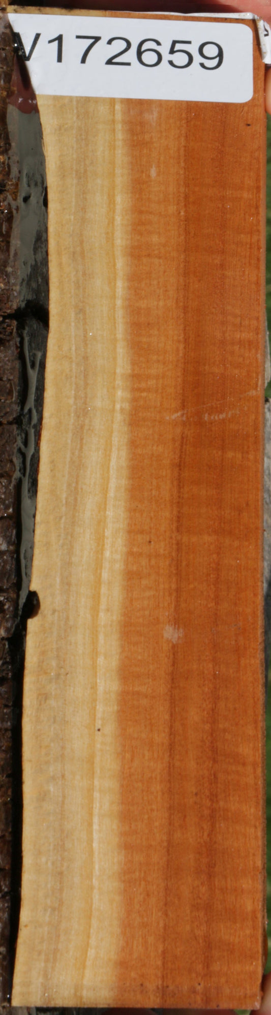 Pink Ivory Live Edge Lumber
