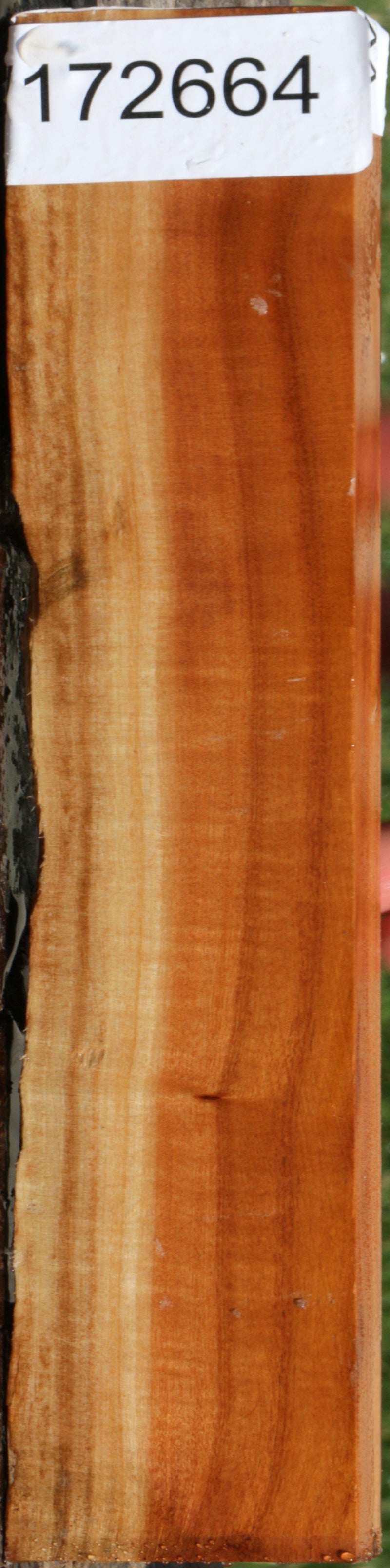 Extra Fancy Pink Ivory Live Edge Lumber