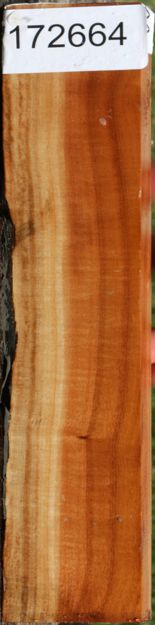 Extra Fancy Pink Ivory Live Edge Lumber