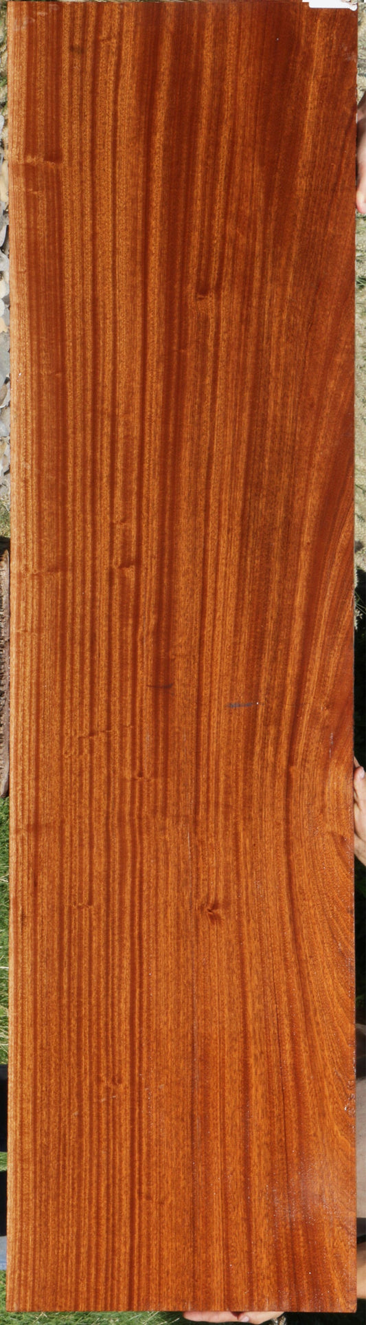 Ribbon Extra Fancy Sapele Micro Lumber
