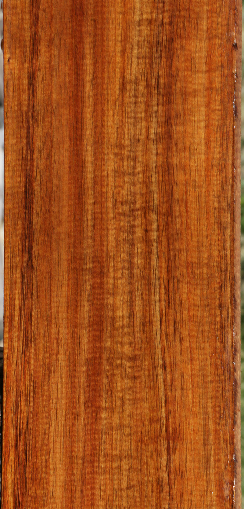 Exhibition Fiddleback Hawaiian Koa Lumber