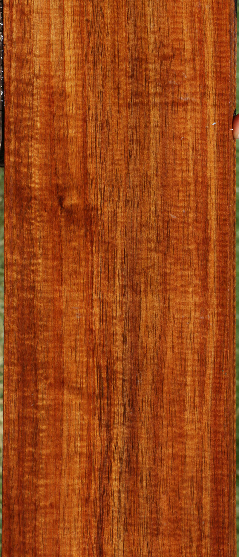Exhibition Fiddleback Hawaiian Koa Lumber