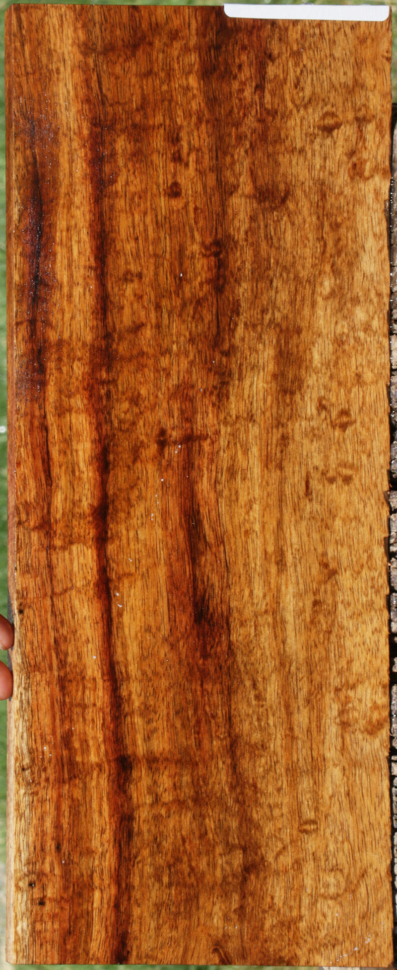 Exhibition Quilted Hawaiian Koa Lumber