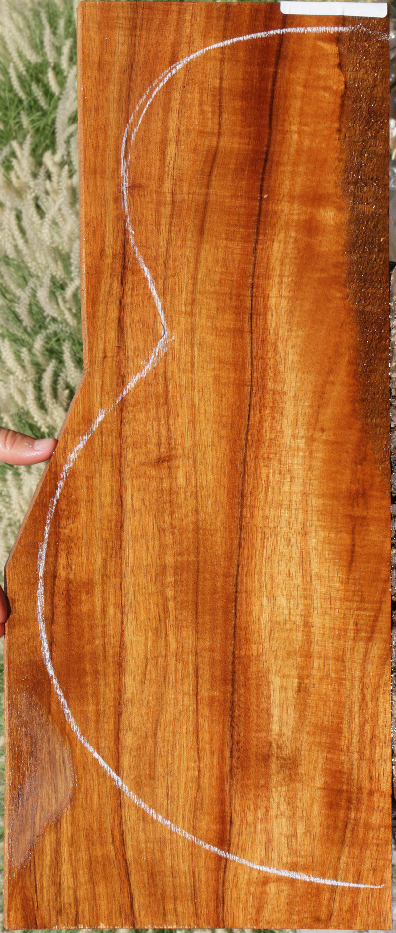 Exhibition Fiddleback Hawaiian Koa Micro Lumber