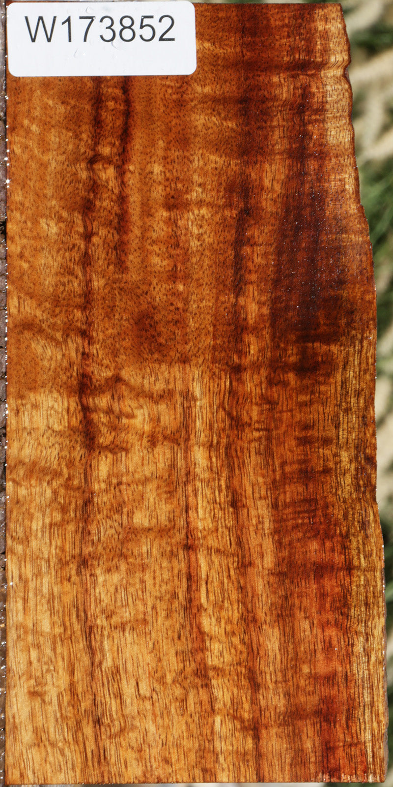 Exhibition Hawaiian Koa Micro Lumber