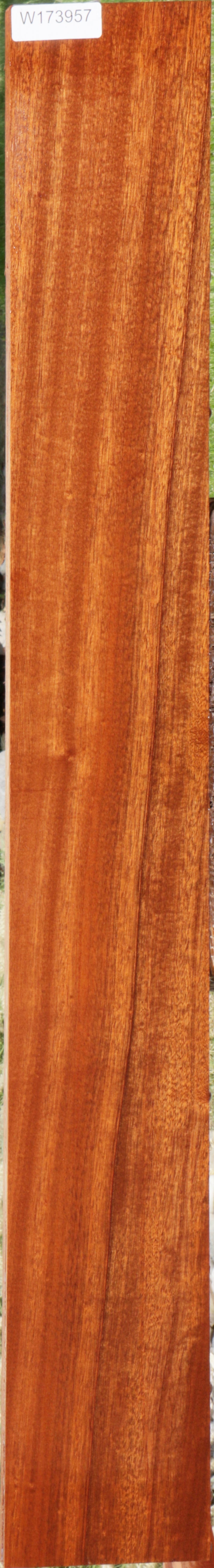 Sapele Micro Lumber