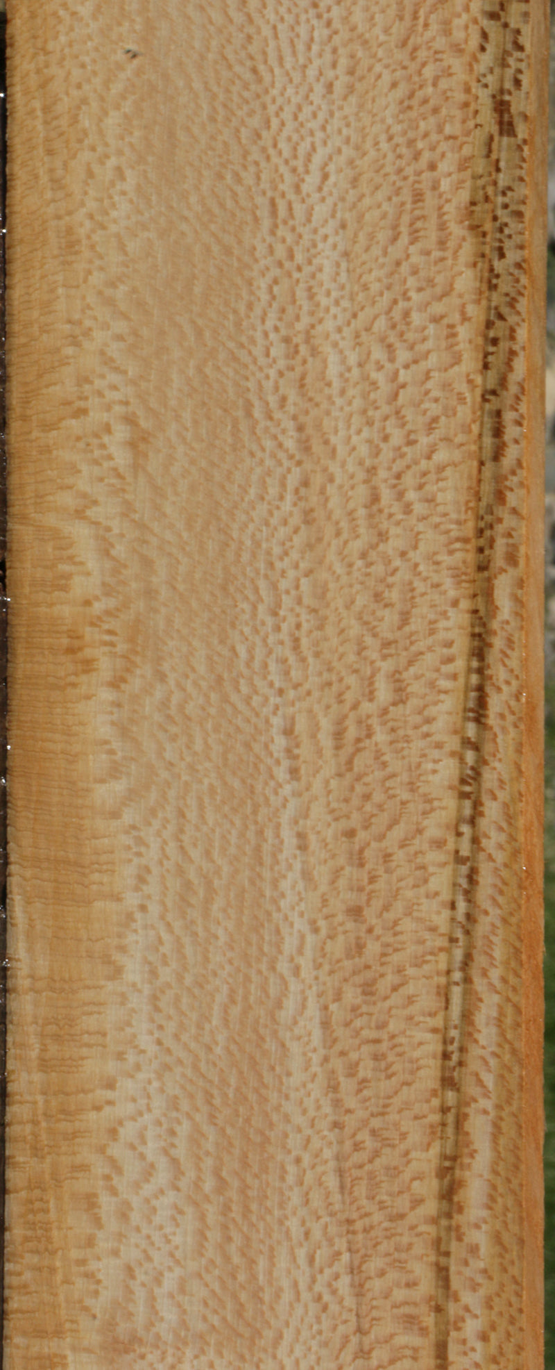 Extra Fancy Sycamore Lumber