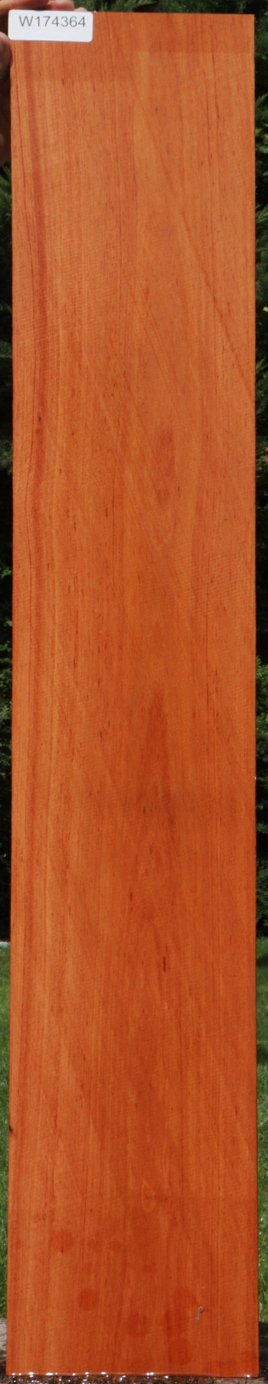 Rosita Lumber