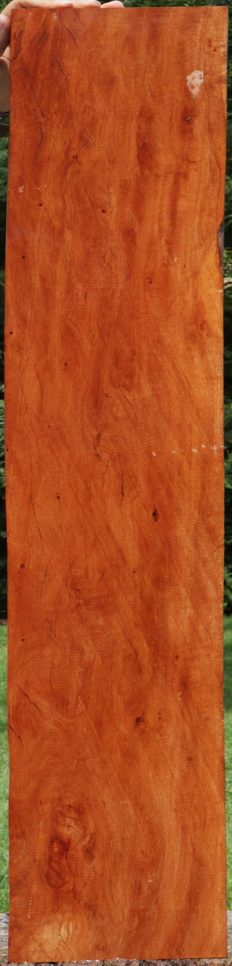Lychee Lumber
