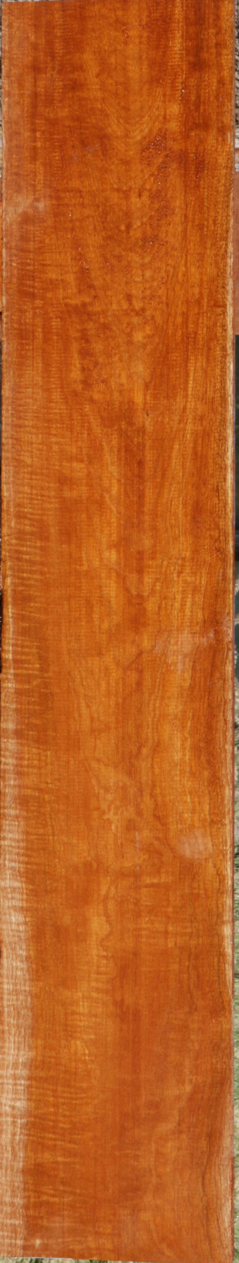 Exhibition Honduras Mahogany Instrument Lumber