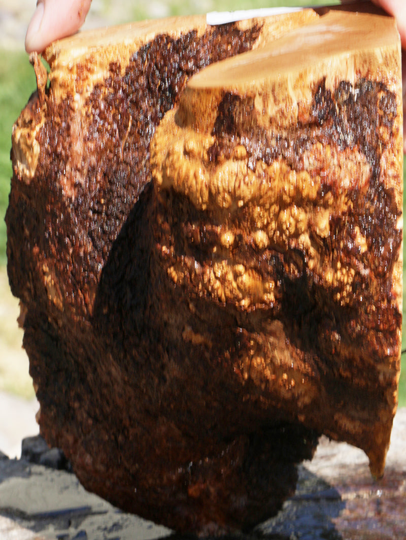 Extra Fancy Kanista Live Edge Burl Slice