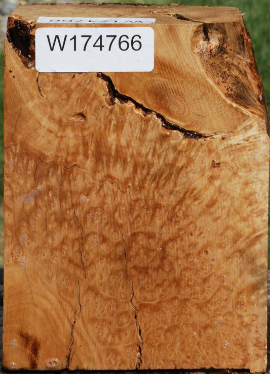 Extra Fancy Kanista Live Edge Burl Bowl Blank