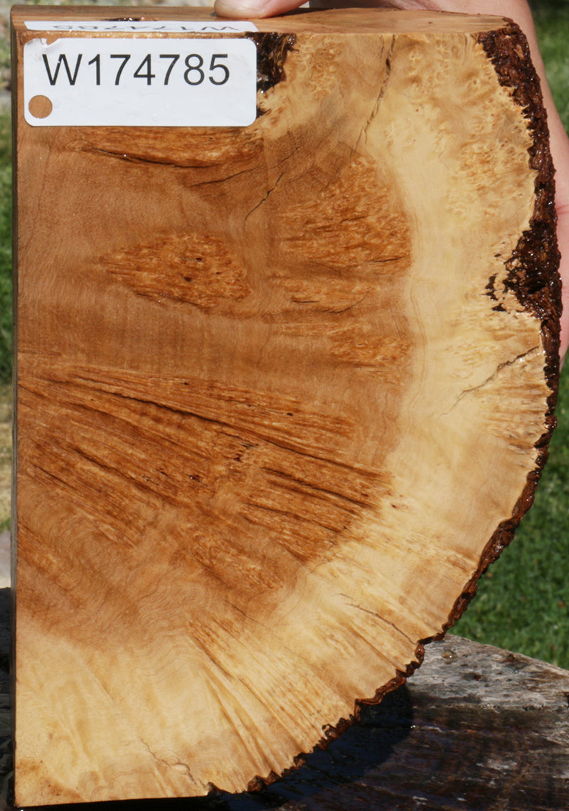 Exhibition Kanista Live Edge Burl Slice