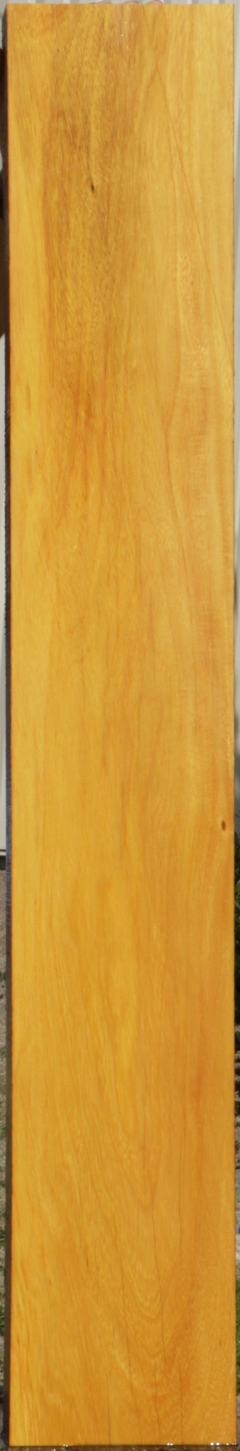 Yellow Mora Lumber