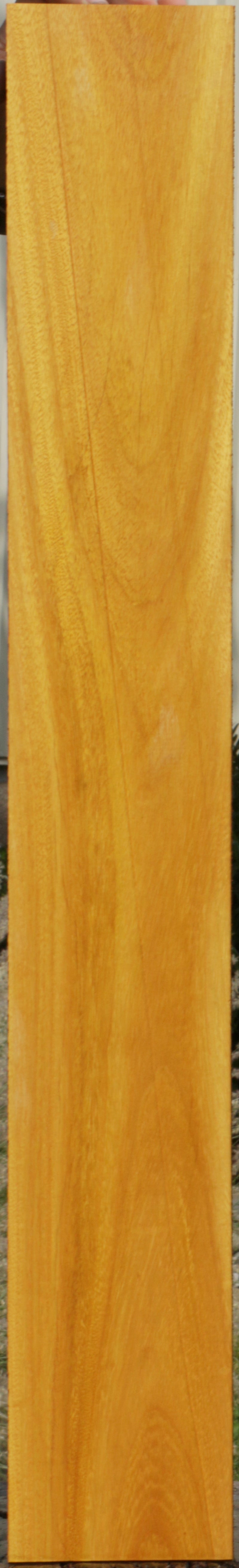 Yellow Mora Lumber