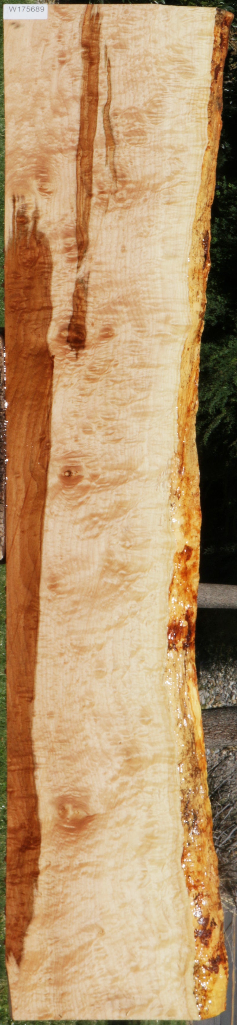 Spalted Maple Live Edge Lumber (Freight Shipping Required)
