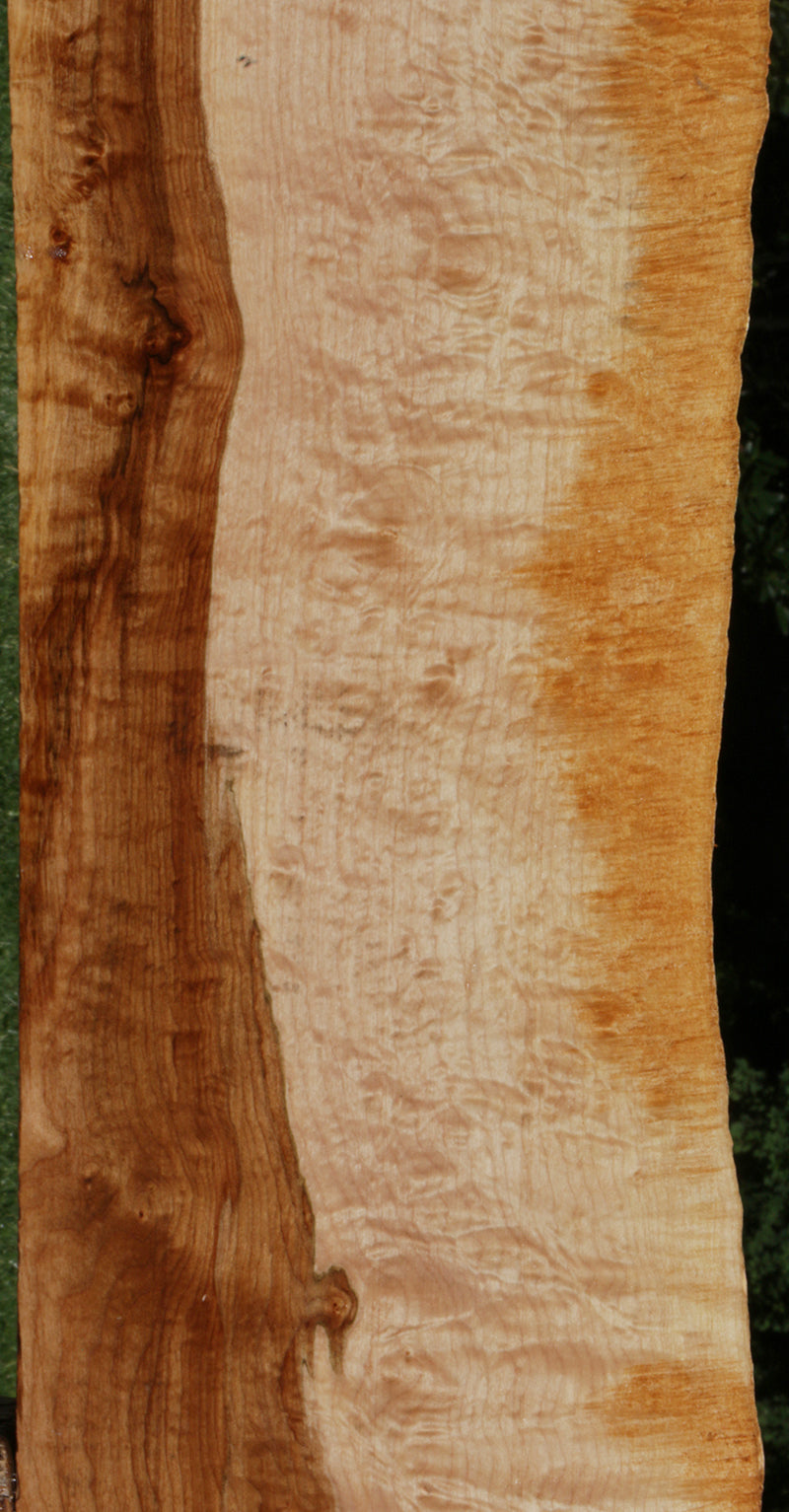 Spalted Maple Live Edge Lumber (Freight Shipping Required)