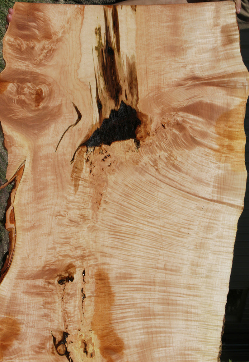 Quilted Fiddleback Maple Live Edge Lumber
