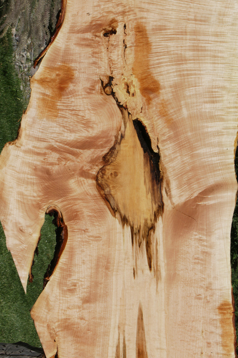 Quilted Fiddleback Maple Live Edge Lumber