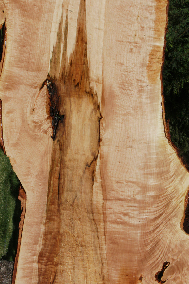 Quilted Fiddleback Maple Live Edge Lumber