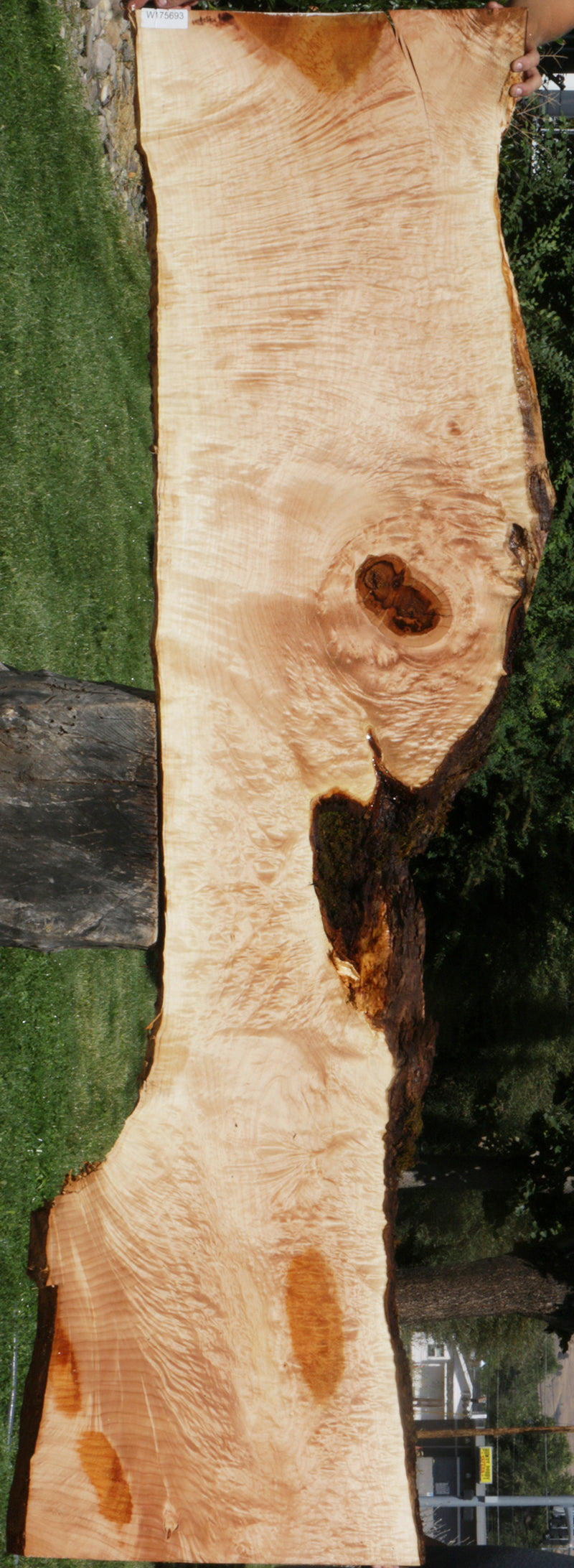 Maple Live Edge Lumber