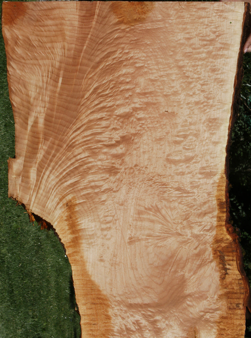 Maple Live Edge Lumber