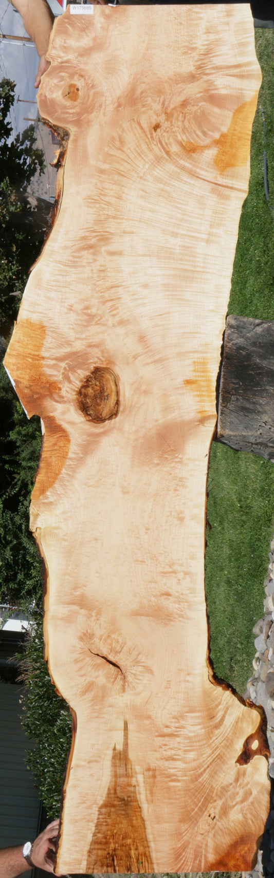Fiddleback Maple Live Edge Lumber